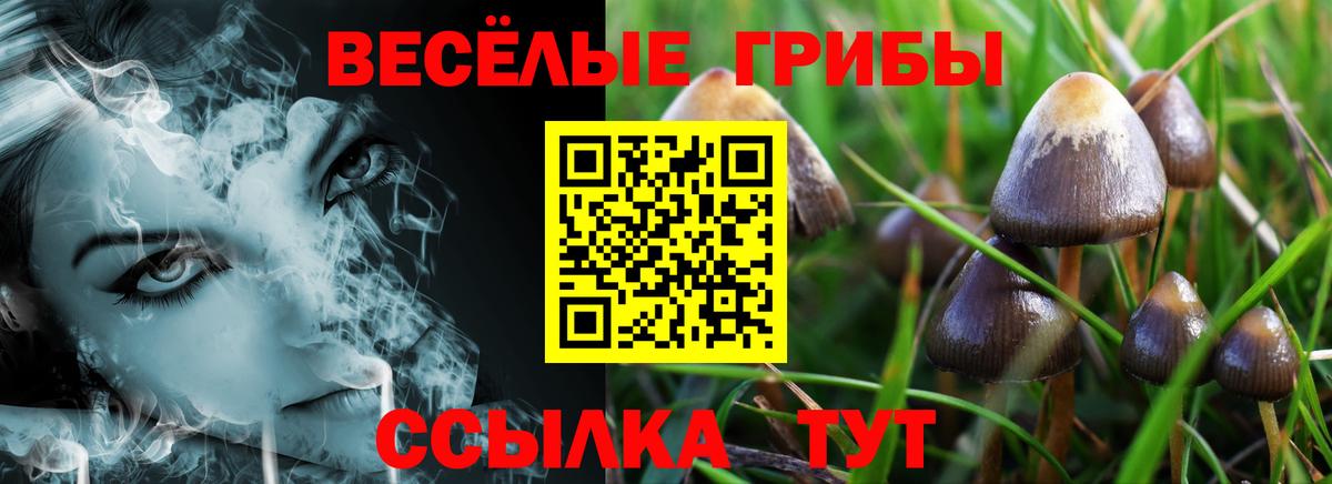Галлюциногенные грибы GOLDEN TEACHER Чусовой